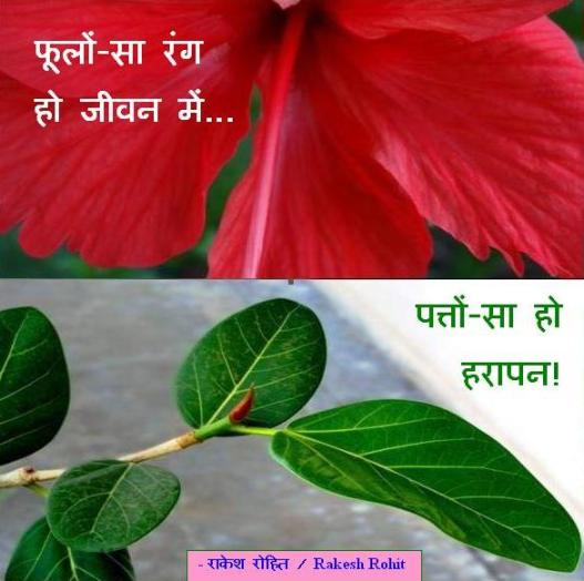फूलों-सा रंग हो जीवन में... पत्तों-सा हो हरापन!  -  राकेश रोहित